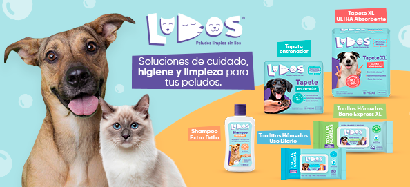 ESCUDO ANTIBACTERIAL